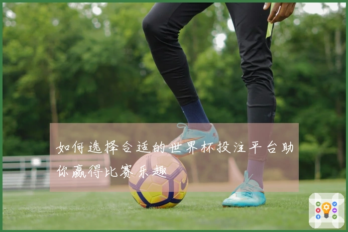 如何选择合适的世界杯投注平台助你赢得比赛乐趣