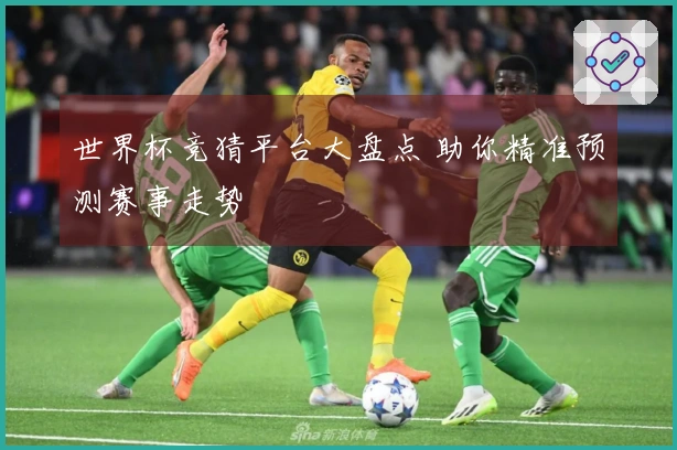 世界杯竞猜平台大盘点 助你精准预测赛事走势
