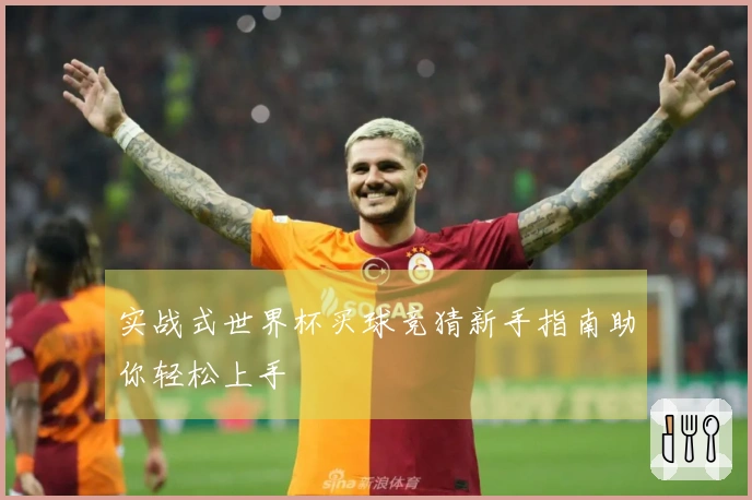实战式世界杯买球竞猜新手指南助你轻松上手