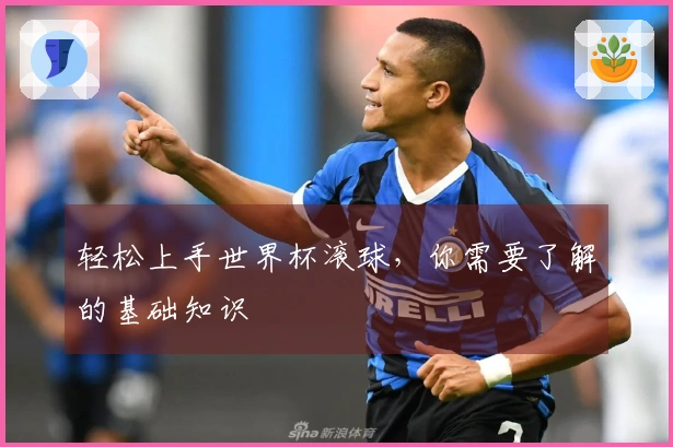 轻松上手世界杯滚球，你需要了解的基础知识