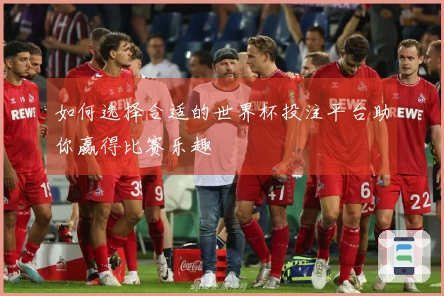 如何选择合适的世界杯投注平台助你赢得比赛乐趣