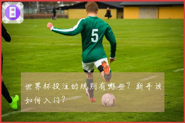 世界杯投注的规则有哪些？新手该如何入门？