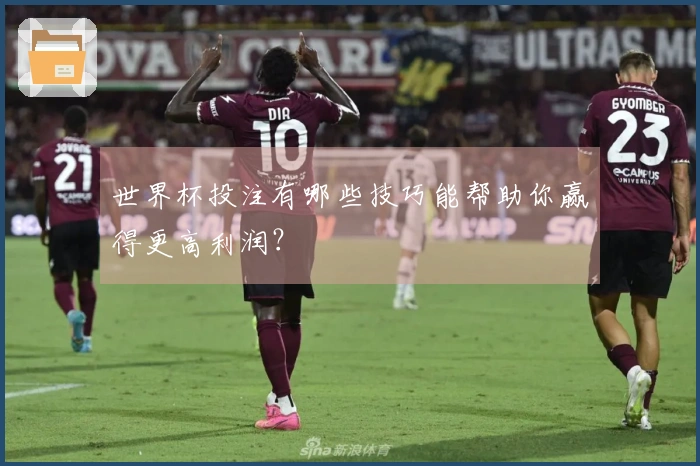 世界杯投注有哪些技巧能帮助你赢得更高利润？