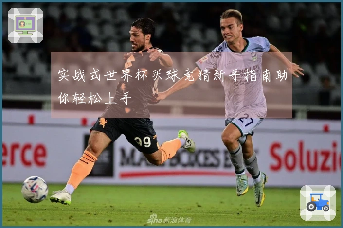 实战式世界杯买球竞猜新手指南助你轻松上手