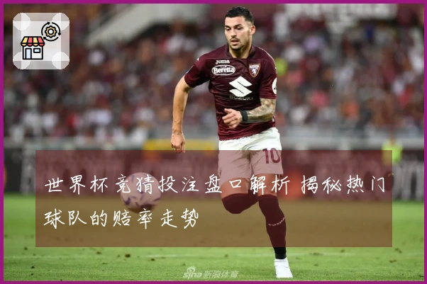 世界杯竞猜投注盘口解析 揭秘热门球队的赔率走势