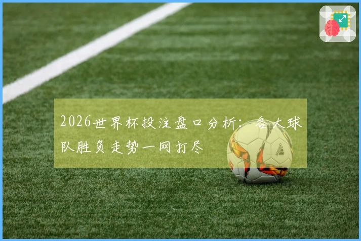2026世界杯投注盘口分析：各大球队胜负走势一网打尽