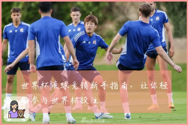 世界杯滚球竞猜新手指南，让你轻松参与世界杯投注