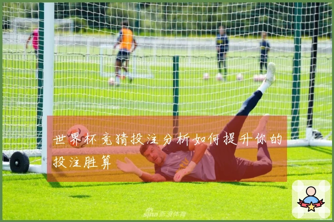世界杯竞猜投注分析如何提升你的投注胜算