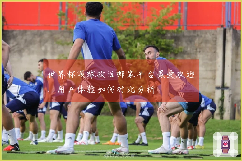 世界杯滚球投注哪家平台最受欢迎，用户体验如何对比分析