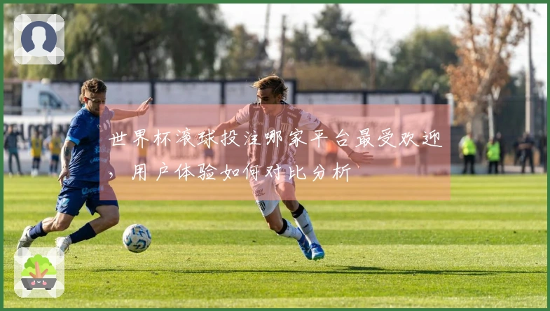 世界杯滚球投注哪家平台最受欢迎，用户体验如何对比分析